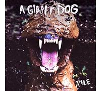 Giant Dog - Pile [New Vinyl LP] Digital Download