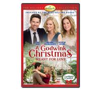 GODWINK CHRISTMAS: MEANT FOR LOVE [EDIZIONE: STATI UNITI] NEW DVD
