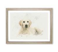 A Golden Retriever Puppy In Abstract Modern Art Framed Wall Art Print, Ready to Hang Picture for Living Room Bedroom Home Office Décor, Oak A3 (46 x 34 cm)