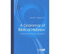 A Grammar of Biblical Hebrew (Subsidia Biblica 27)