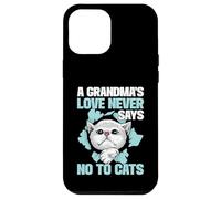 A Grandma’s Love Never Says No to Cats Grandma Case for iPhone 12 Pro Max