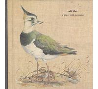 A GRAVE WITH NO NAME - Feathers Wet, Under the Moon [VINYL]