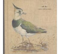 A Grave With No Name - Feathers Wet Under The Moon - Vinyl Record - E1398z