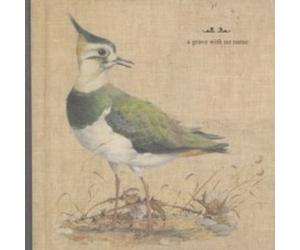 A Grave With No Name - Feathers Wet Under The Moon - Vinyl Record - E1398z