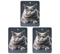 A Gray Cat Is Lying Car Air Freshener, 3 Pcs Square Hanging Air Freshener Cards, Long Lasting Fragrance Scented Cards for Car, Home, Office Black-style