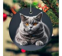 A Gray Cat is Lying Christmas Ceramic Ornaments with Gold String - 2.8 Inch Round Double-Sided Porcelain Xmas Tree Decor for Fireplace Mantel, Farmhouse Winter Holiday Hanging Ornaments