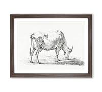 A Grazing Cow By Jean Bernard Vintage Framed Print | A2 Walnut Framed Wall Art | Ready to Hang | Classic Animal Picture | Living Room Bedroom Lounge Office