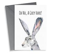 A Grey Hare Birthday Card - Punny Age Joke