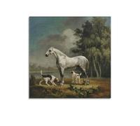 A Grey Horse Poster by George Stubbs Art Canvas Painting Decor Wall Print Photo Gifts Home Modern Decoratives 24x24inch(60x60cm)
