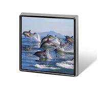 A Group of Dolphins with Long Beaks Jumped Out of The Water Square Badge Smooth Surface Lapel Tie Pin, Lightweight Badge for Women Men Office Worker Nurse Teacher Student Shirts Backpack