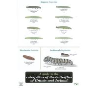 A Guide to Caterpillars of the Butterflies of Britain and Ireland