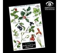 A Guide to Fruits and Seed Dispersal