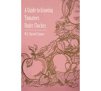 A Guide to Growing Tomatoes Under Cloches