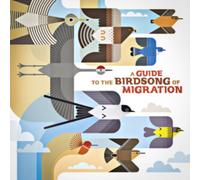 A guide to the birdsong of migration