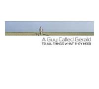 A Guy Called Gerald - To All Things What They Need [Vinyl LP] [VINYL]