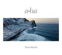 A: ha/True North(2LP/GF) - LP vinyl SEALED