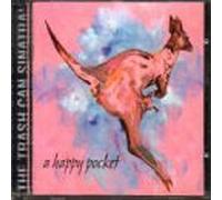 A Happy Pocket by Trash Can Sinatras (1999-12-28)