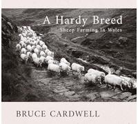 A Hardy Breed: Sheep Farming in Wales