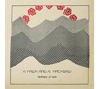 A Hawk And A Hacksaw - Darkness At Noon