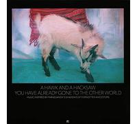 A Hawk and a Hacksaw - You Have Already Gone To The Other World [VINYL]