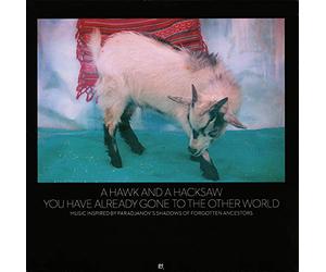 A Hawk and a Hacksaw - You Have Already Gone To The Other World [VINYL]