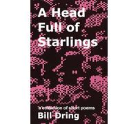 A Head Full of Starlings (Everything is Overrated)