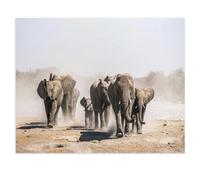 A Herd of Elephants Approaches a Waterhole, Etosha National Park, Namibia, Africa，Jigsaws Puzzles 1000 Pieces Classic Jigsaws Educational Games Toys，Best Gift for Adults and Kids（38x26cm）-V70