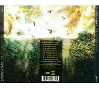 A Hero A Fake – The Future Again