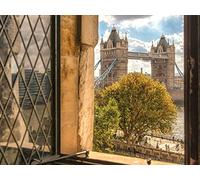 A History of Infamy in the Tower of London