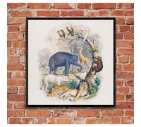 "A History of the Earth and Animated Nature" on Framed Canvas, Acrylic, Canvas, Framed Prints or Print-only