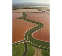 A History of the Netherlands: From Bogs to a Global Power (The Dutch Collection: Master the Language, Unlock the Culture)