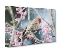 A House Finch Bird Canvas Print | Gallery Wrapped 30mm Frame Wall Art | 20x14 inches | Ready to Hang | Modern Animals Picture | Living Room Bedroom Lounge Office