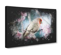 A House Finch Bird Paint Splash Canvas Print | Gallery Wrapped 30mm Frame Wall Art | 20x14 inches | Ready to Hang | Modern Animals Picture | Living Room Bedroom Lounge Office
