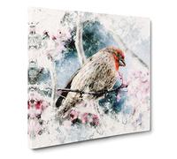A House Finch Bird Watercolour Canvas Print | Gallery Wrapped 30mm Frame Wall Art | 14x14 inches | Ready to Hang | Modern Animals Picture | Living Room Bedroom Lounge Office