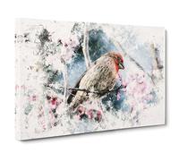 A House Finch Bird Watercolour Canvas Print | Gallery Wrapped 30mm Frame Wall Art | 20x14 inches | Ready to Hang | Modern Animals Picture | Living Room Bedroom Lounge Office