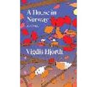 A House in Norway (Verso Fiction)