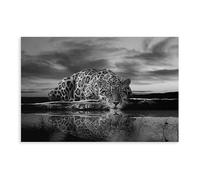 A Jaguar Resting by The Water Canvas Poster Wall Art Decor Print Picture Paintings for Living Room Bedroom Decoration 16x24inch(40x60cm)