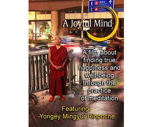 A Joyful Mind - Finding true happiness through the practice of meditation