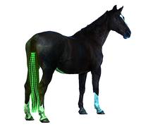 A&K L'YDIA Horse Tail LED Light Bar,100cm/40inch Horse Equipment Riding Tail Trapings Equestrian Type-c Charge Horse Tail Bag for Horse Shows (Green)