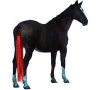 A&K L'YDIA Horse Tail LED Light Bar,100cm/40inch Horse Equipment Riding Tail Trapings Equestrian Type-c Charge Horse Tail Bag for Horse Shows (Red)