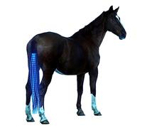 A&K L'YDIA Horse Tail LED Light Bar,100cm/40inch Horse Equipment Riding Tail Trapings Equestrian Type-c Charge Horse Tail Bag for Horse Shows (Blue)