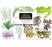 A Key to Common Seaweeds