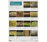 A Key to Lichens on Twigs