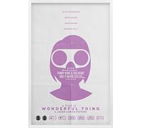 A Kind Of Wonderful Thing [DVD]