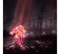 A Kiss For The Whole World - Enter Shikari CD