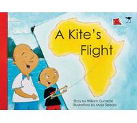 A Kite's Flight