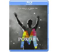 À la Poursuite du Bonheur Tour (Live À Bercy) [Blu-ray]