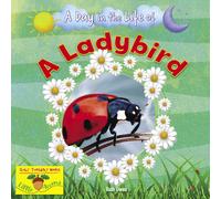 A Ladybird
