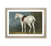 A Lady's Grey Hunter Horse by Jacques-Laurent Agasse Framed Print | A2 Oak Framed Wall Art | Ready to Hang | Modern Animal Picture | Living Room Bedroom Lounge Office