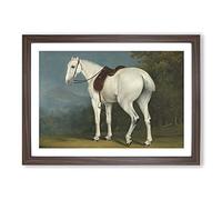 A Lady's Grey Hunter Horse by Jacques-Laurent Agasse Framed Print | A2 Walnut Framed Wall Art | Ready to Hang | Modern Animal Picture | Living Room Bedroom Lounge Office